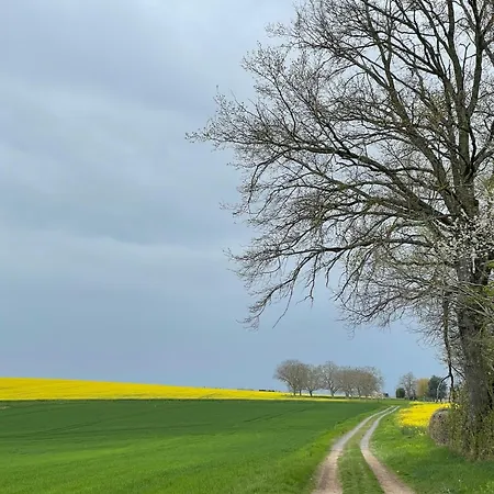 Apartament Chez Tess *