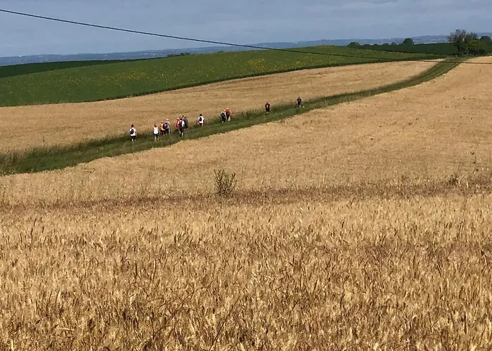 Chez Tess Lejlighed Saint-Felix (Allier)