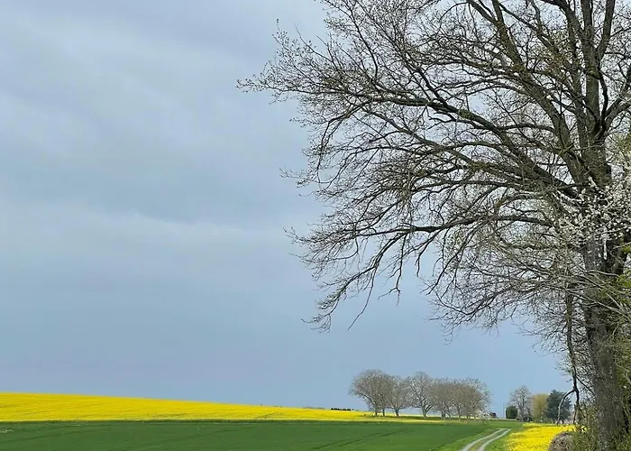 Lejlighed Chez Tess *