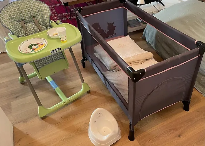 Lejlighed Chez Tess Saint-Felix (Allier)