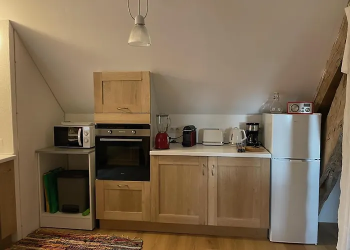 Lejlighed Chez Tess Saint-Felix (Allier)