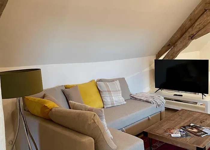 Lejlighed Chez Tess Saint-Felix (Allier)